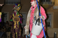 carnaval-miguelturra-desfile-2026-340-silvana