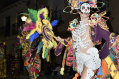 carnaval-miguelturra-desfile-2026