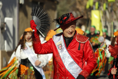 carnaval-miguelturra-desfile-2026