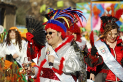 carnaval-miguelturra-desfile-2026