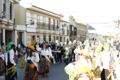 carnaval-miguelturra-desfile-2026