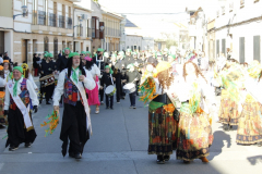 carnaval-miguelturra-desfile-2026