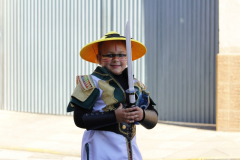 carnaval-miguelturra-desfile-2026