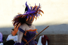 carnaval-miguelturra-desfile-2026