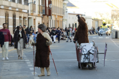 carnaval-miguelturra-desfile-2026