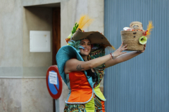 carnaval-miguelturra-desfile-2026