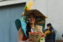 carnaval-miguelturra-desfile-2026