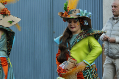 carnaval-miguelturra-desfile-2026