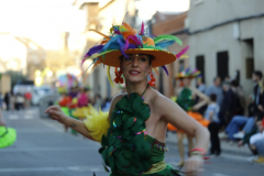 carnaval-miguelturra-desfile-2026