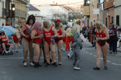 carnaval-miguelturra-desfile-2026