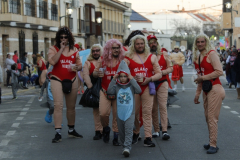 carnaval-miguelturra-desfile-2026