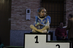 carnaval-miguelturra-desfile-2026