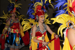 carnaval-miguelturra-desfile-2026