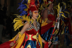 carnaval-miguelturra-desfile-2026