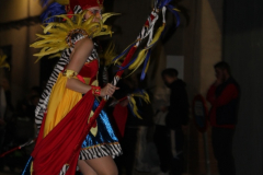 carnaval-miguelturra-desfile-2026