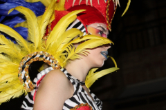 carnaval-miguelturra-desfile-2026