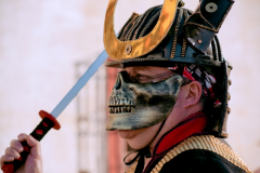 carnaval-miguelturra-desfile-2026