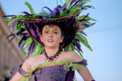 carnaval-miguelturra-desfile-2026