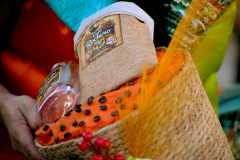 carnaval-miguelturra-desfile-2026