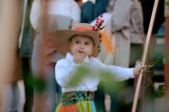 carnaval-miguelturra-desfile-2026