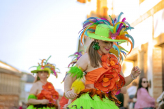 carnaval-miguelturra-desfile-2026