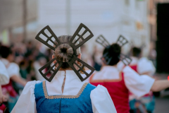 carnaval-miguelturra-desfile-2026