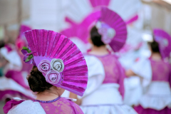 carnaval-miguelturra-desfile-2026