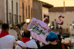 carnaval-miguelturra-desfile-2026