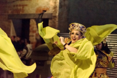 carnaval-miguelturra-desfile-2026