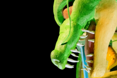 carnaval-miguelturra-desfile-2026