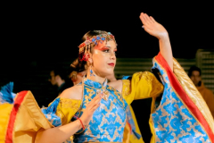 carnaval-miguelturra-desfile-2026