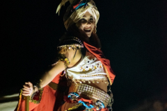 carnaval-miguelturra-desfile-2026