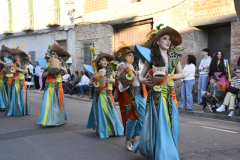 carnaval-miguelturra-desfile-2026