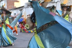 carnaval-miguelturra-desfile-2026