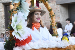 carnaval-miguelturra-desfile-2026