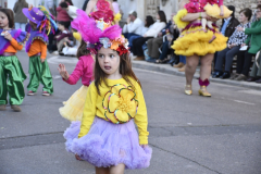 carnaval-miguelturra-desfile-2026