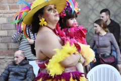 carnaval-miguelturra-desfile-2026