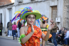 carnaval-miguelturra-desfile-2026