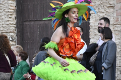 carnaval-miguelturra-desfile-2026