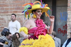 carnaval-miguelturra-desfile-2026