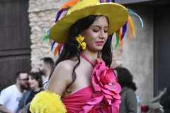 carnaval-miguelturra-desfile-2026