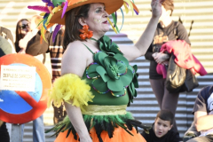 carnaval-miguelturra-desfile-2026