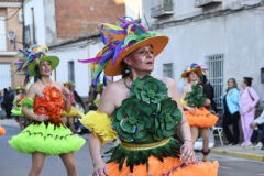 carnaval-miguelturra-desfile-2026