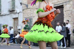 carnaval-miguelturra-desfile-2026