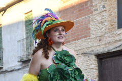 carnaval-miguelturra-desfile-2026