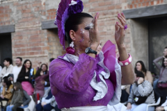 carnaval-miguelturra-desfile-2026