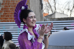 carnaval-miguelturra-desfile-2026