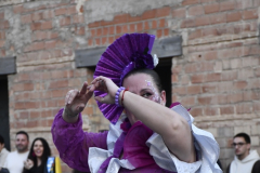 carnaval-miguelturra-desfile-2026