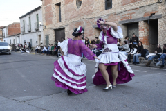 carnaval-miguelturra-desfile-2026