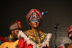 carnival-miguelturra-celebration-national-2018
